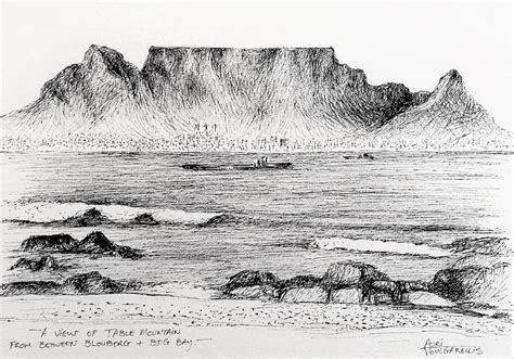  Sketches From Table Mountain's Crown -  A Whimsical Dance of Charcoal and Shadow